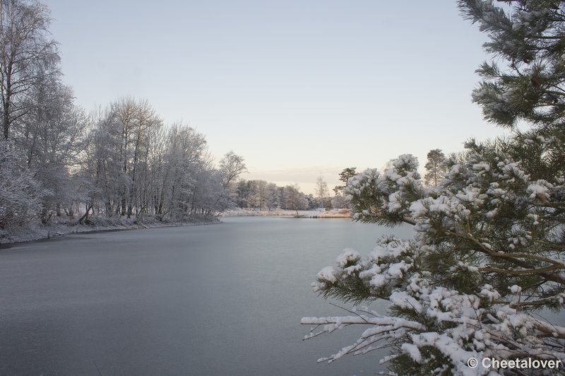 _DSC7336.JPG - Winter in Boswachterij Dorst